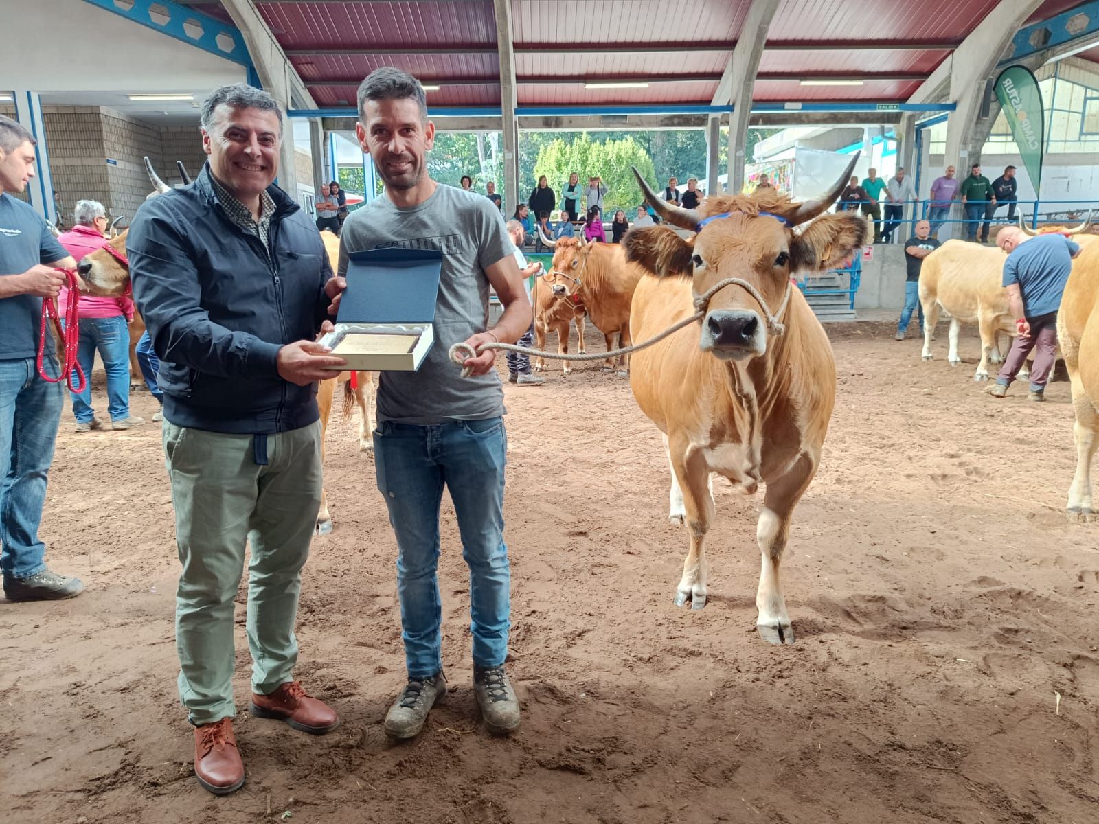 En imágenes: los premiados en la Muestra ganadera local de Cangas del Narcea