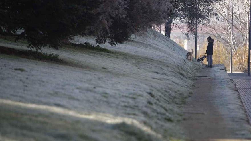 Jardines helados en la zona de Trascastillo a primera hora de la mañana de ayer.