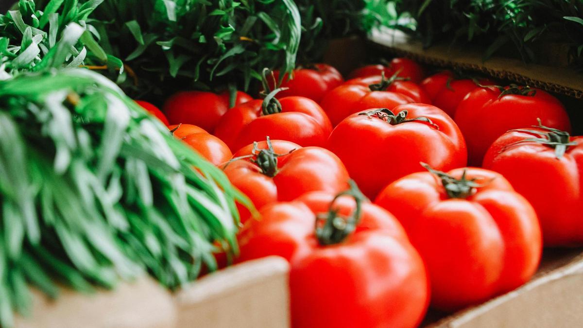 Imagen de archivo: tomates.