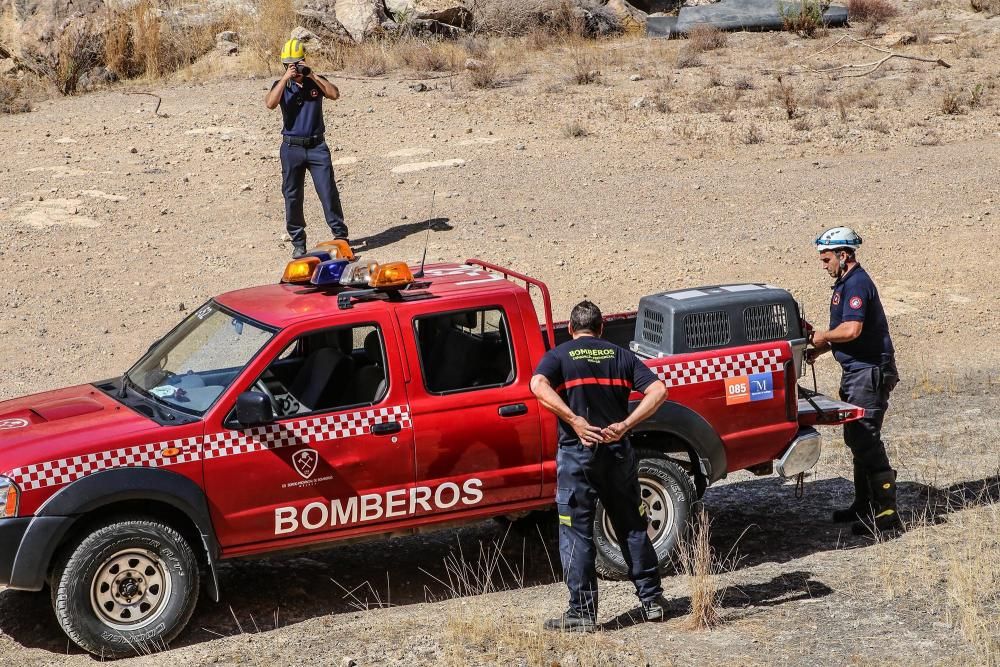 El mejor amigo del hombre, al rescate en Cox