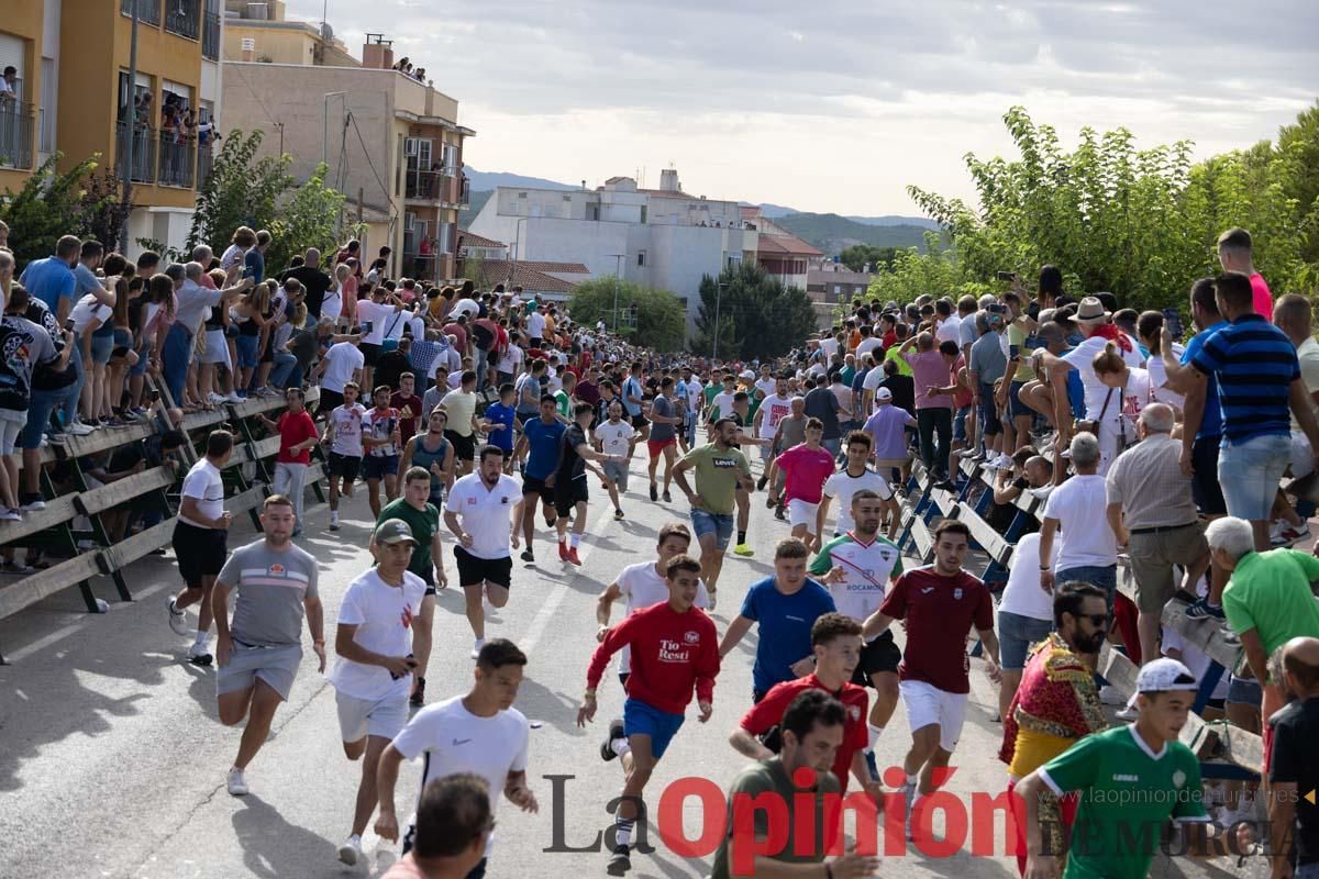 Primer encierro de la Feria del Arroz de Calasparra