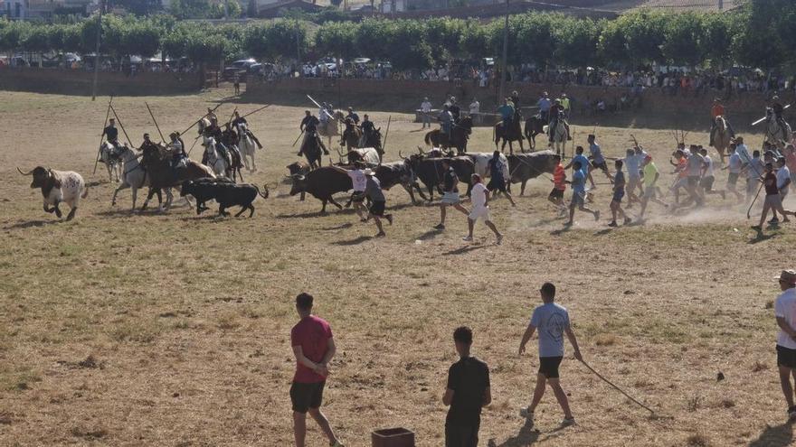 Fuentesaúco despide unas fiestas de excepción con más de 20.000 personas
