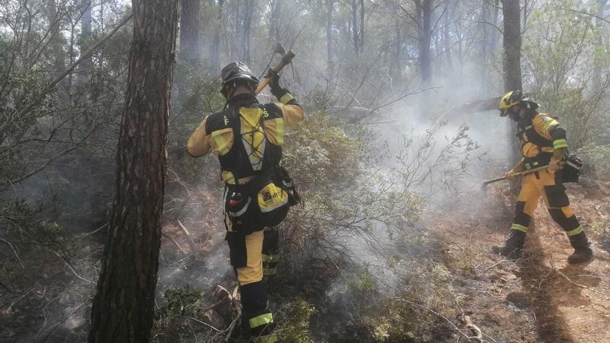 Extinguido un incendio forestal en Calvià tras quemar 0,02 hectáreas de pinar