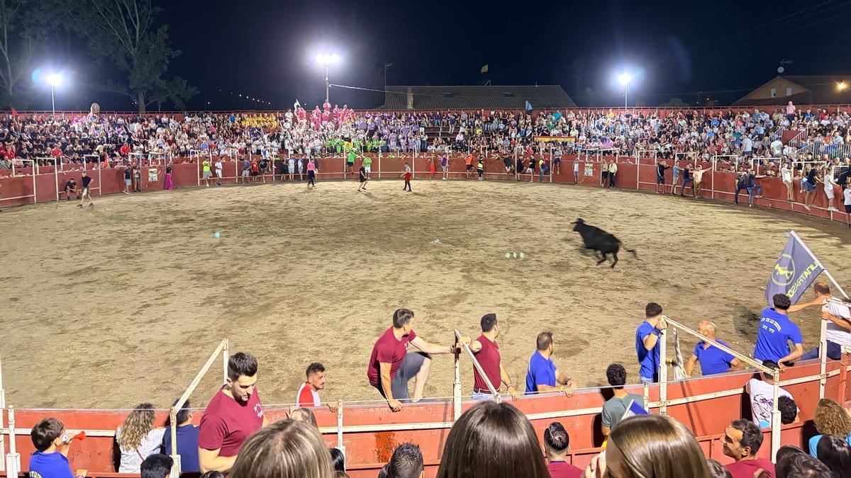 GALERÍA | Noche de vaquillas en San Cristóbal de Entreviñas