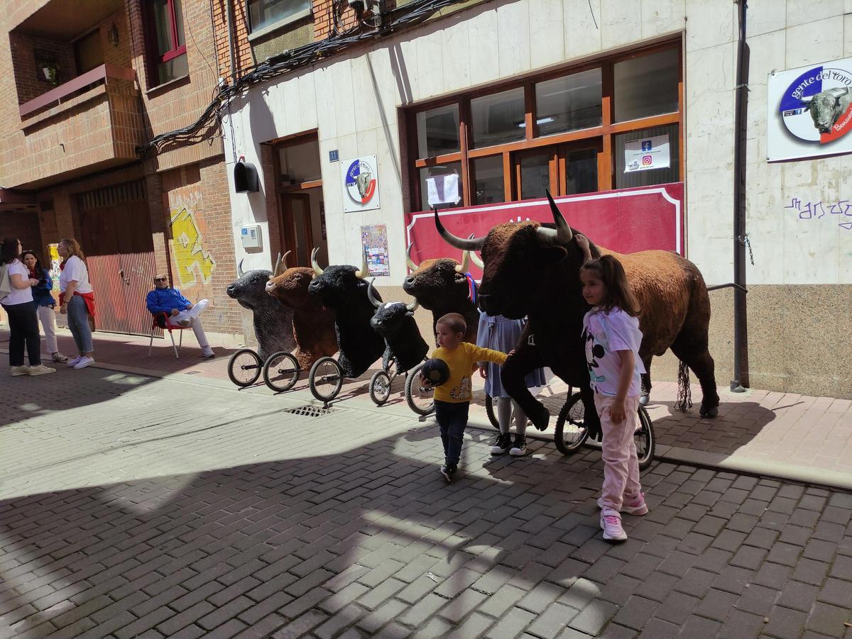 GALERIA | Así de bien lo pasan en Benavente con las Escuelas Taurinas de Gente del Toro