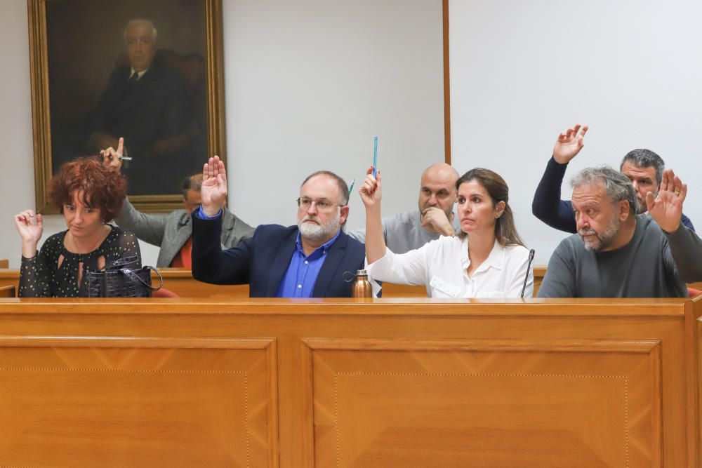 Pleno extraordinario del Ayuntamiento de Torrevieja