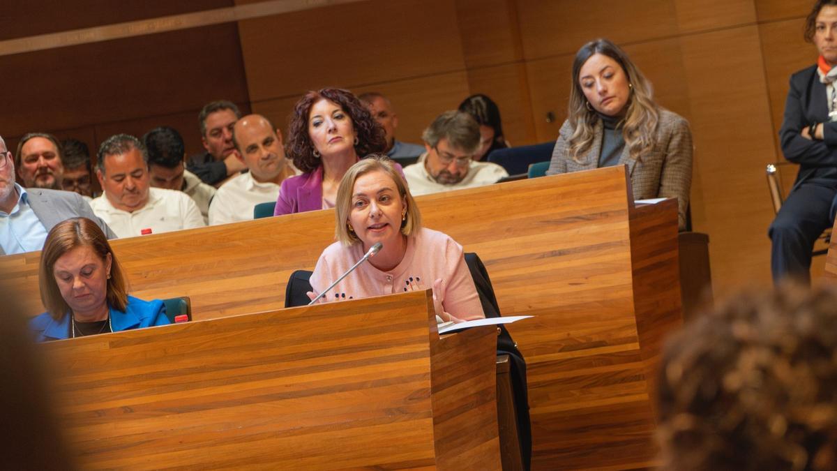 Natàlia Enguix, en el pleno de noviembre.