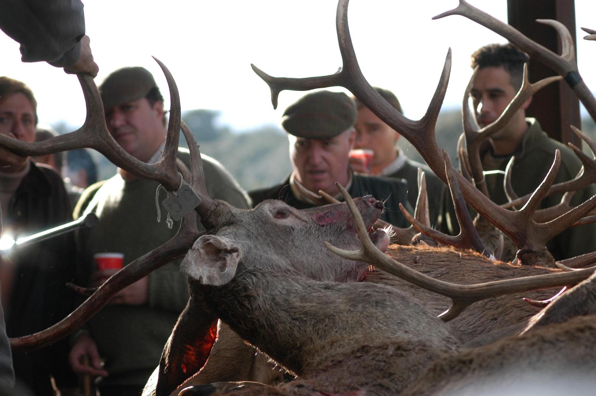 El 60% apoya la caza en Monfragüe: el estudio que desmonta el relato urbano y sacude el debate nacional Image