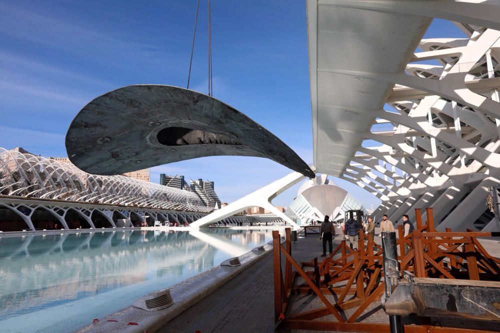 'La Pamela' de Valdés se despide de la Ciudad de las Artes y las Ciencias