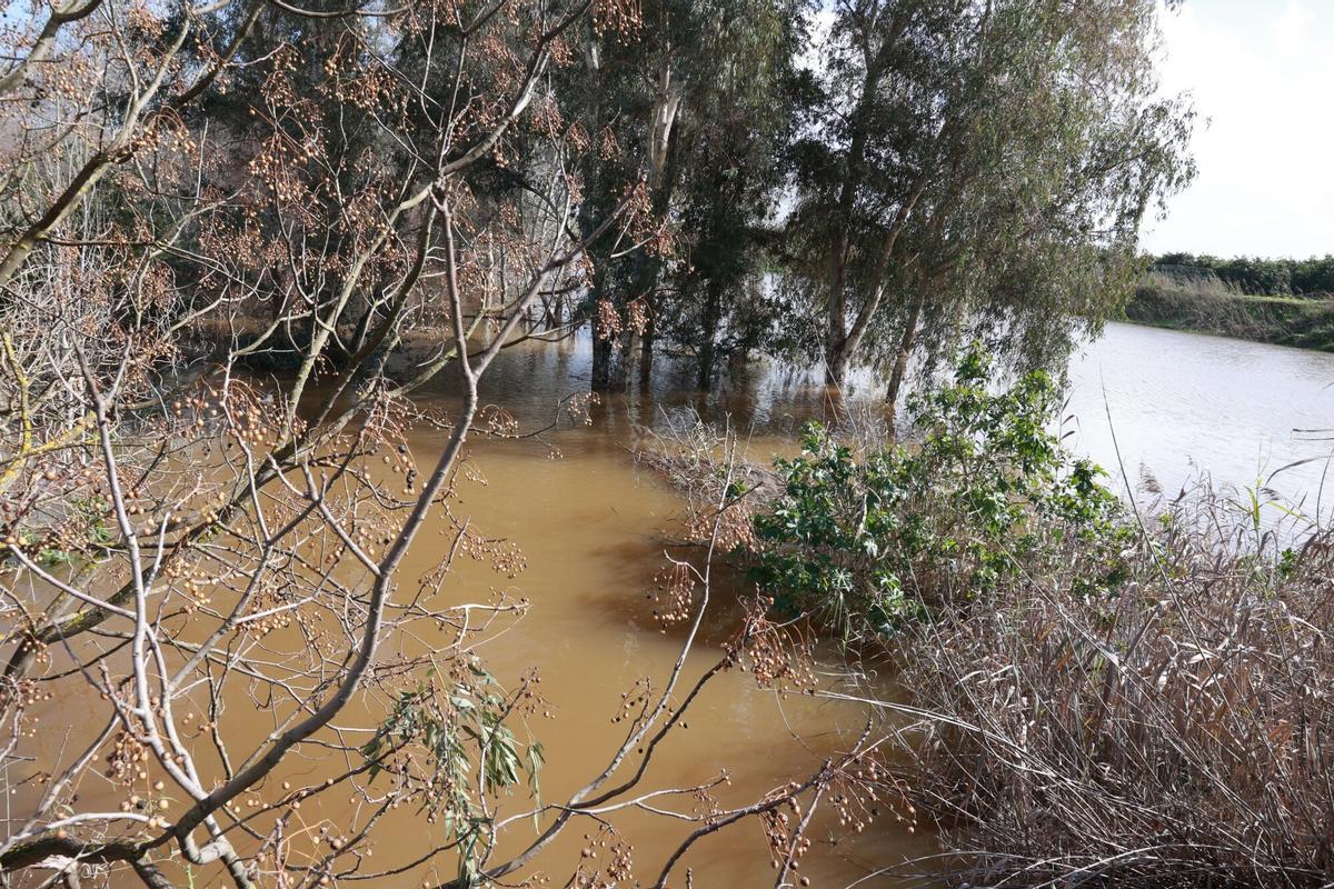 El Guadalquivir a su paso por Cantillana
