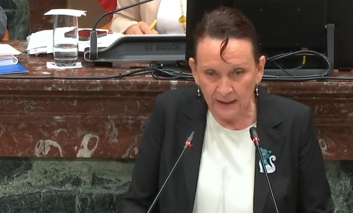 Portavoz de Podemos en la Asamblea Regional, María Marín