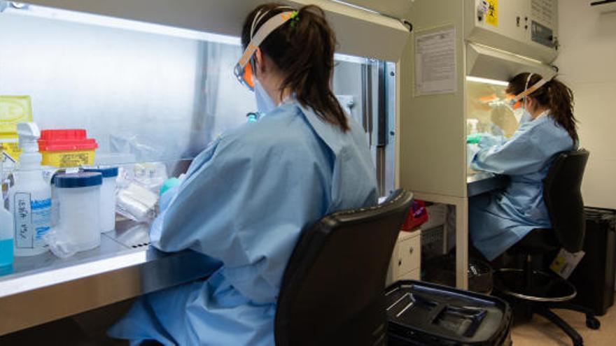 Laboratori on es fan proves de coronavirus