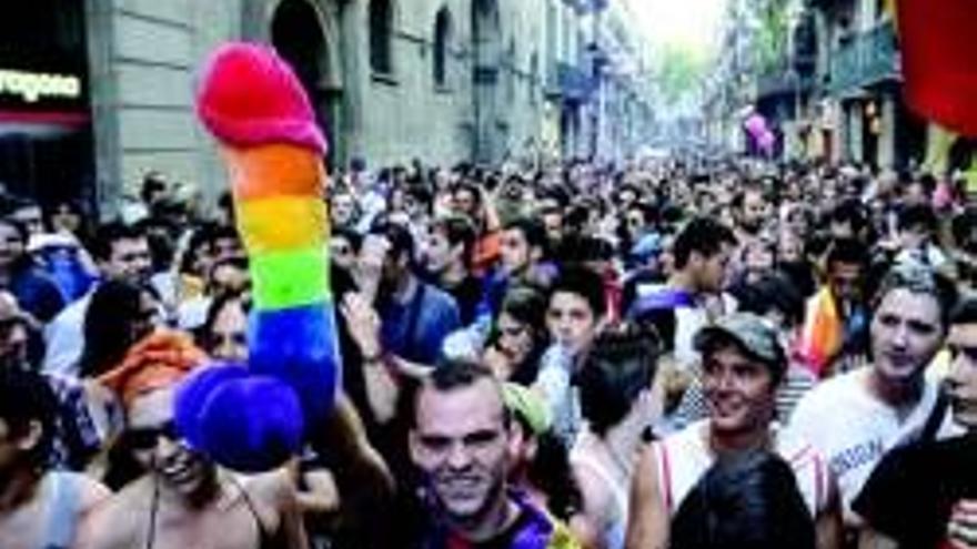 Lesbianas, gays y transexuales celebran el día de su visibilidad