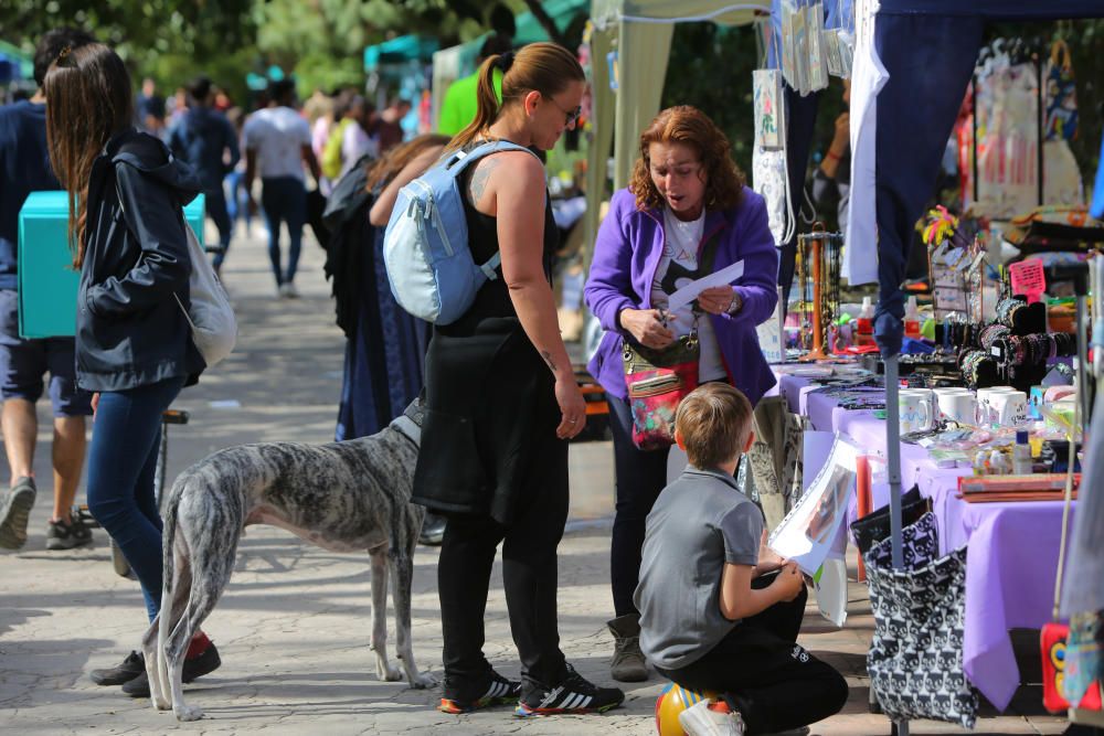 Feria del Bienestar Animal en València