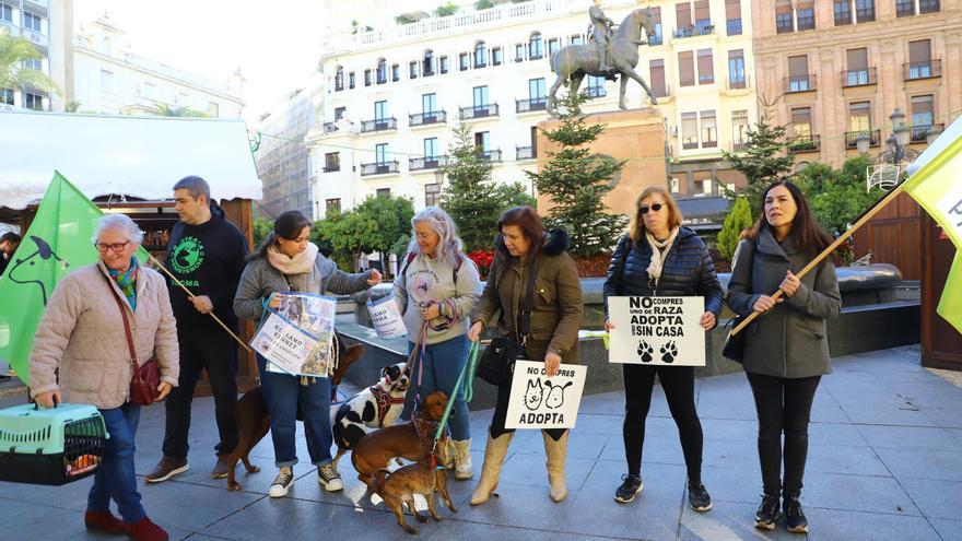 Pacma pasea en Córdoba a sus animales en adopción para buscarles un hogar