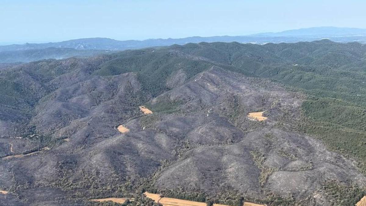 Imatge de part de les Gavarres que ha patit l'incendi