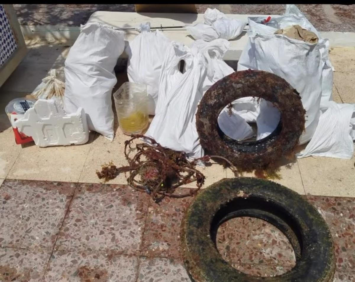 La basura que retiraron los voluntarios en esta quinta edición