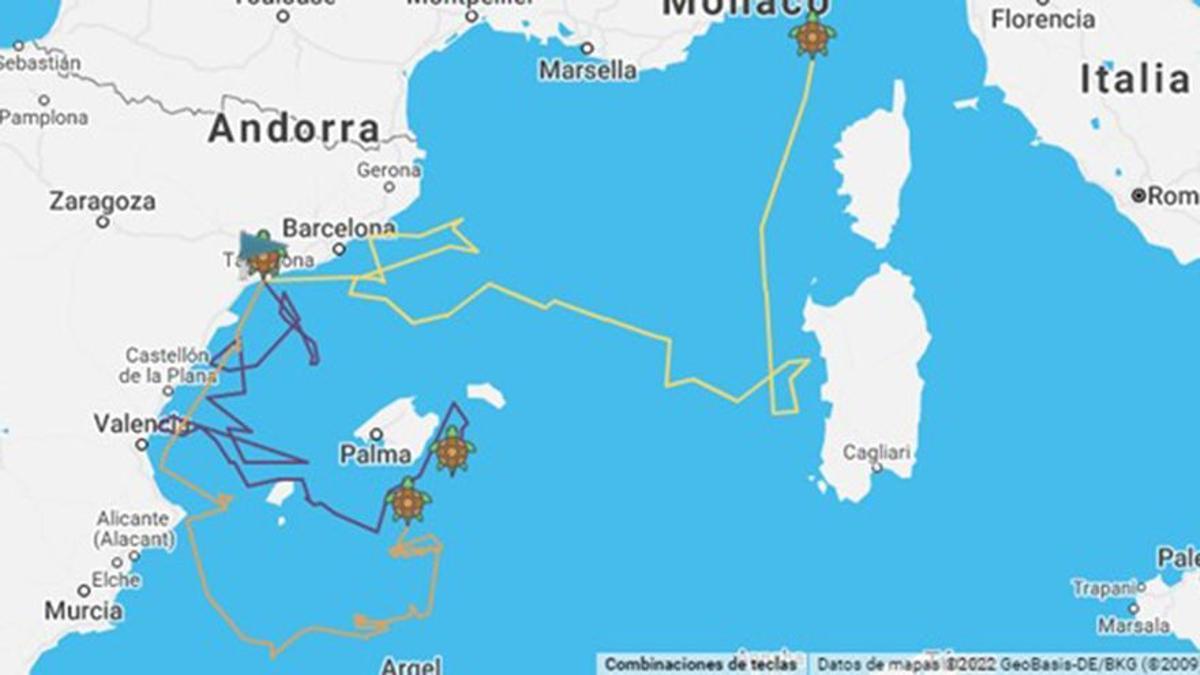 Recorrido de las tortugas Vicent, Bel·la e Intemares haste el 26/01/2022.