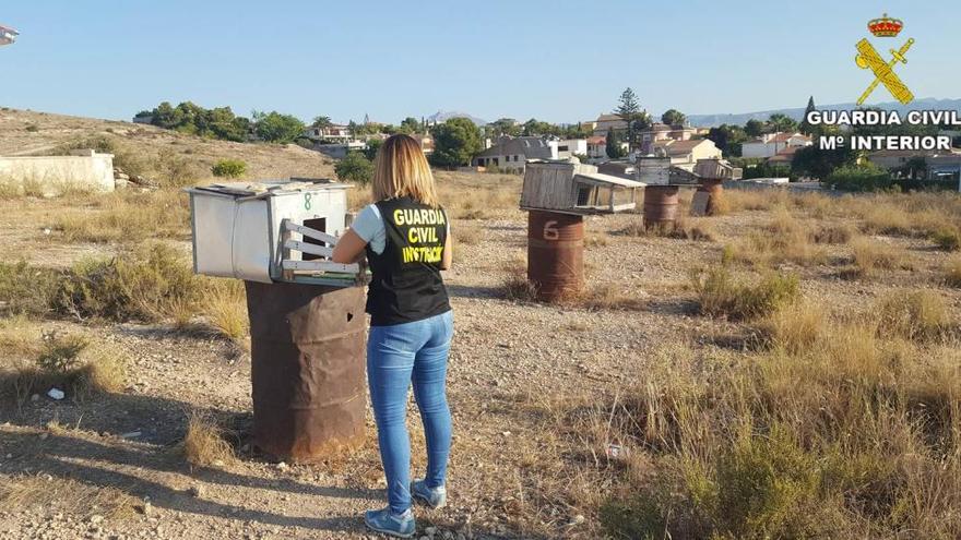 Una agente de la Guardia Civil en una de las zonas donde guardaban los palomos.