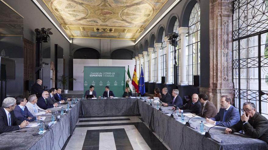 Reunión este martes, en San Telmo, del Comité de Expertos de Andalucía contra la pandemia del covid-19. | JOAQUÍN CORCHERO/EUROPA PRESS