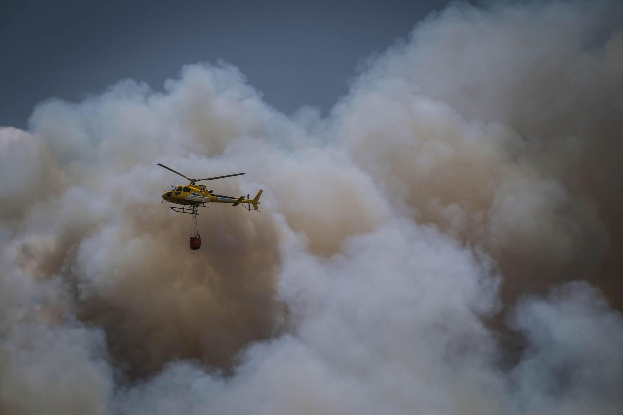 El incendio forestal de Tenerife, en imágenes