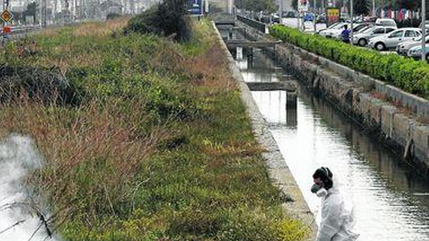 Diputación insta a los municipios a no bajar la guardia en la lucha contra los mosquitos