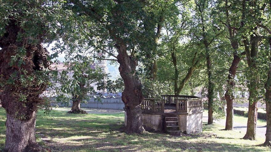 A carballeira, centro neurálxico da parroquia. |  Bernabé/ Cris M.V.