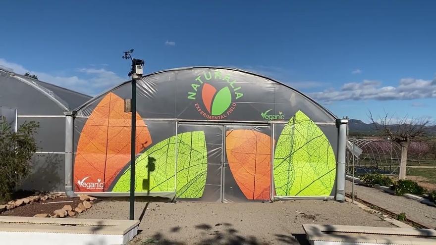 Naturalia, la Finca que revoluciona la agricultura con innovación y sostenibilidad