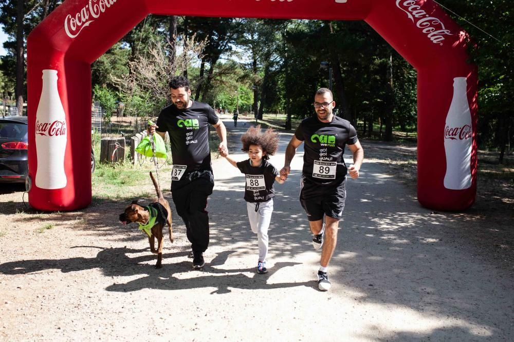 II Can We Run en Zamora