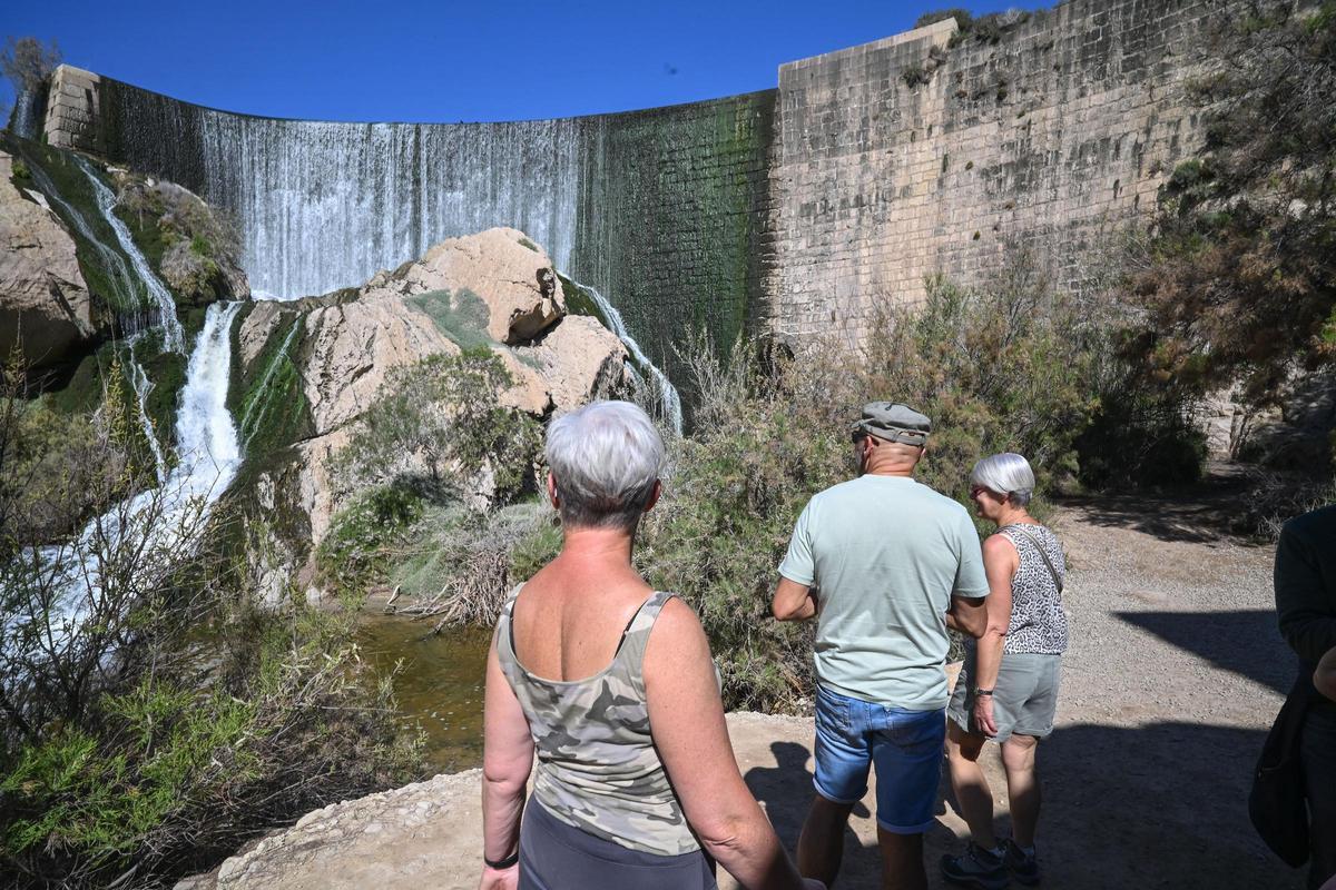 Pantano de Elche, un paraje de indudable valor medioambiental