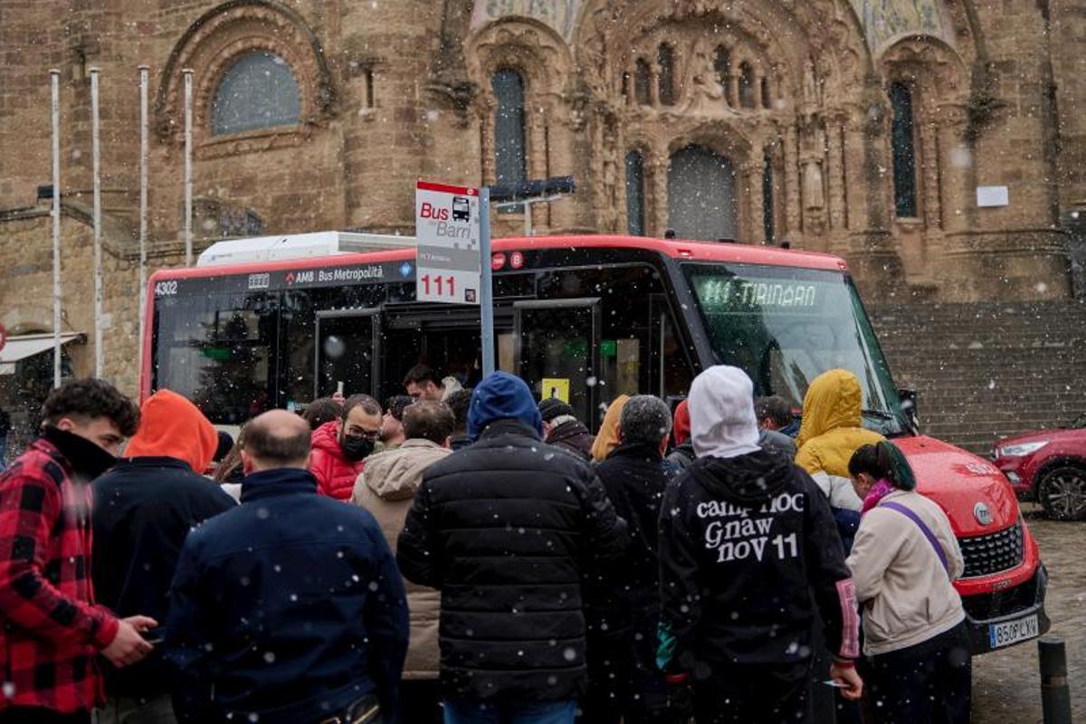 Nieva en Collserola