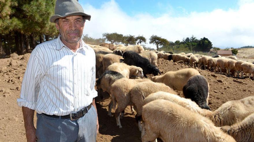 Genaro López con su ganado de ovejas, el pasado miércoles.