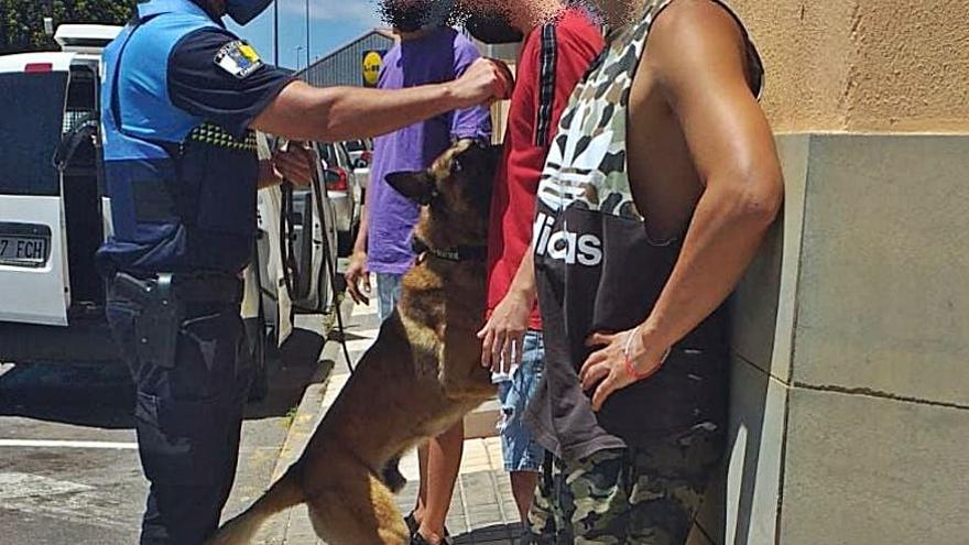 Un policía de Ingenio y Benji inspeccionan a una persona. | |