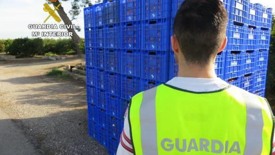 Fontestad no guarda relación con el robo de naranjas