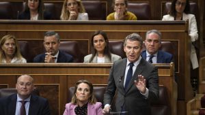 El presidente del PP, Alberto Núñez Feijóo, interviene durante una sesión de control al Gobierno, en el Congreso de los Diputados, a 16 de octubre de 2024, en Madrid (España).