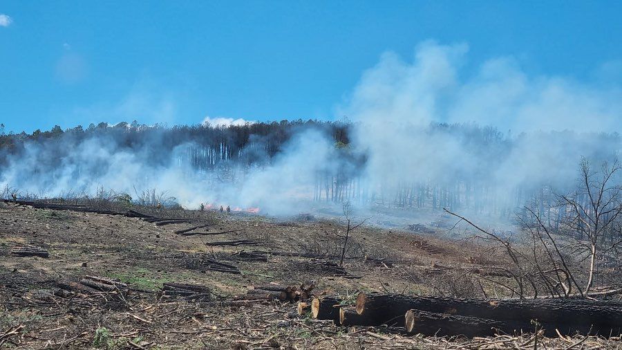 Incendio en Otero de Bodas, en una zona quemada en la Sierra de la Culebra