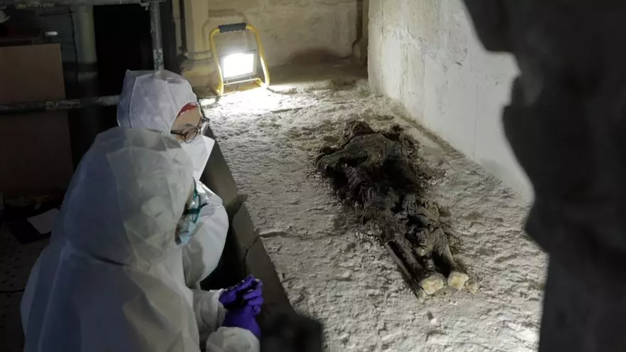 Troben les restes humanes d’una desena de nobles catalans dels segles XIII i XIV al Reial Monestir de Santes Creus