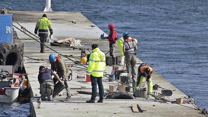 Operarios, ayer, sobre la estructura flotante.   | // GONZALO NÚÑEZ