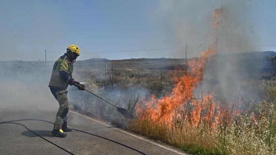 Cáceres activa su “modo emergencia” por incendios forestales este verano