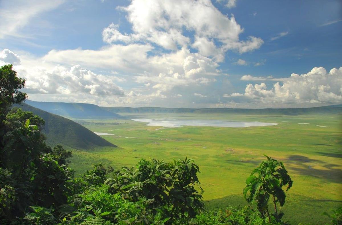 Cráter del Ngorongoro, Tanzania