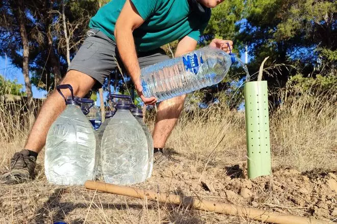 Valdespartera se moviliza para regar árboles plantados en descampados del barrio