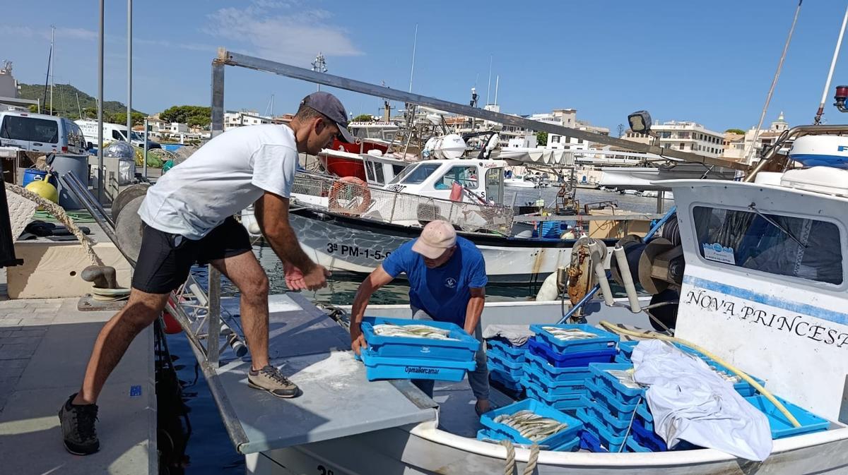 FOTOS | Las primeras llampugas llegan al puerto de Cala Rajada FOTOS | Las primeras llampugas llegan al puerto de Cala Rajada