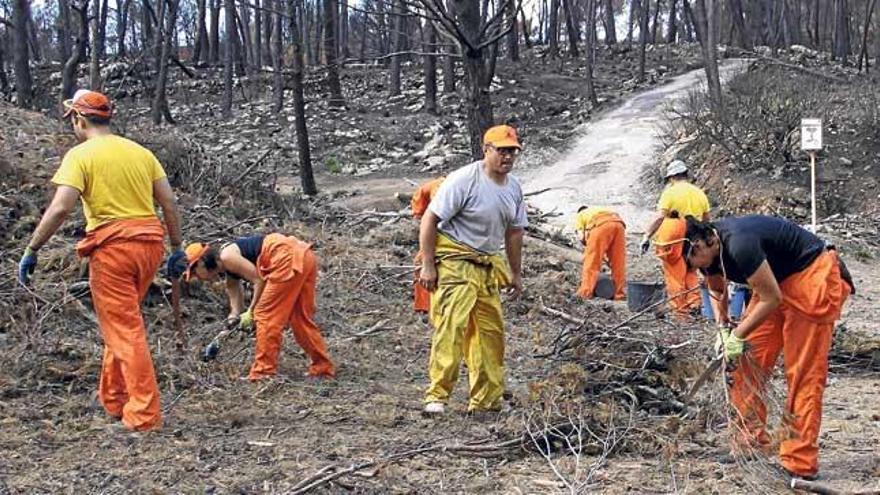 El incendio del verano de 2013 devoró más de 2.000 hectáreas de la Serra de Tramuntana.