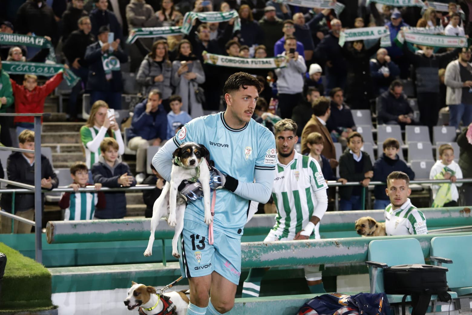 Córdoba CF-Castellón: las imágenes del partido en El Arcángel