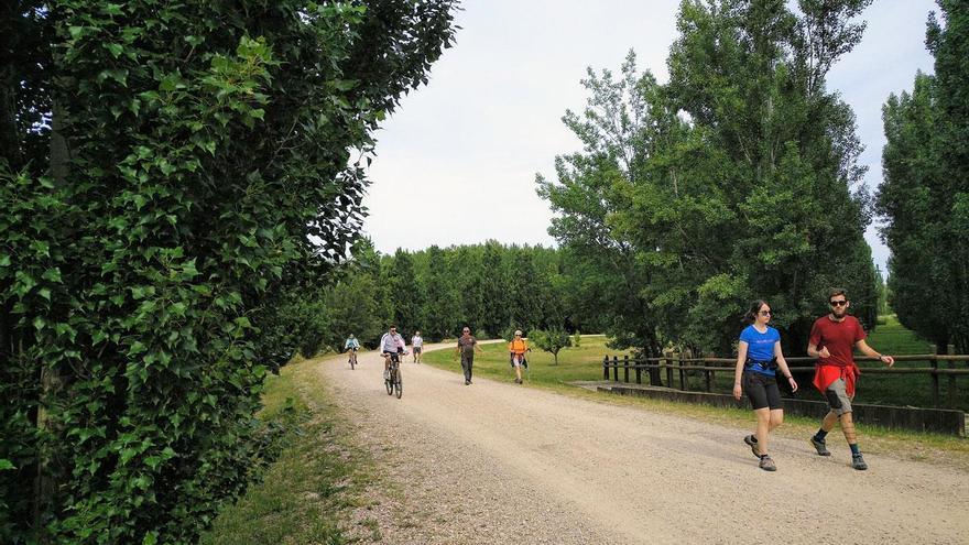 Nuevos caminos para el deporte en Zaragoza