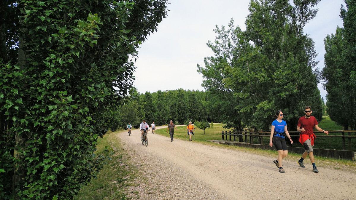 Nuevos caminos para el deporte en Zaragoza