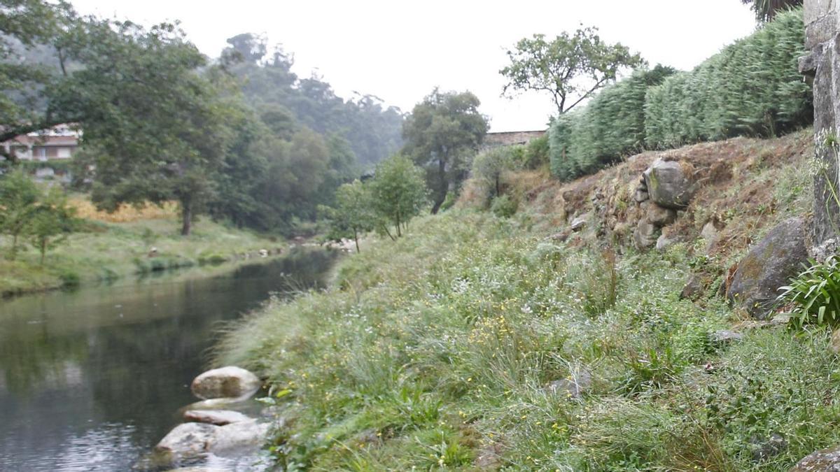 Río Tamuxe a su paso por el municipio de Oia. / José Lores