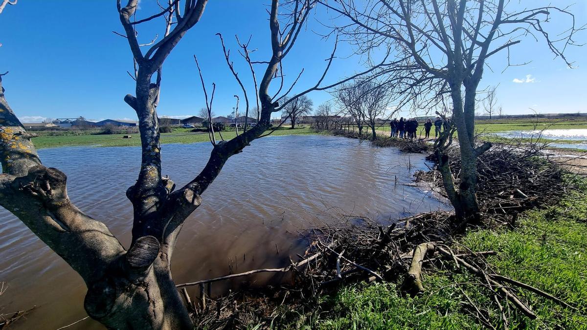 El Gobierno visita las zonas afectadas por el temporal en Extremadura