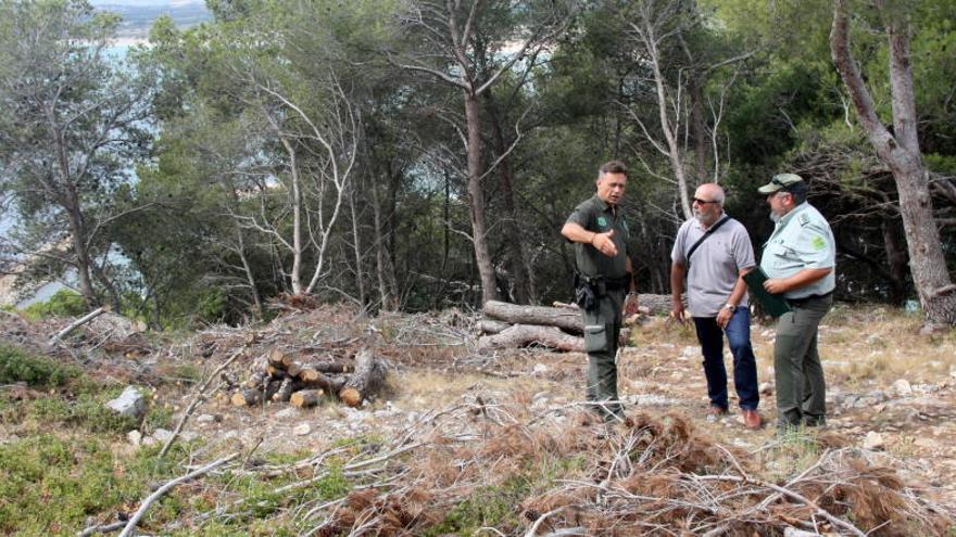 Els agents rurals i l&#039;alcalde de Torroella de Montgrí al costat d&#039;uns troncs que s&#039;han talat per fer la franja de protecció