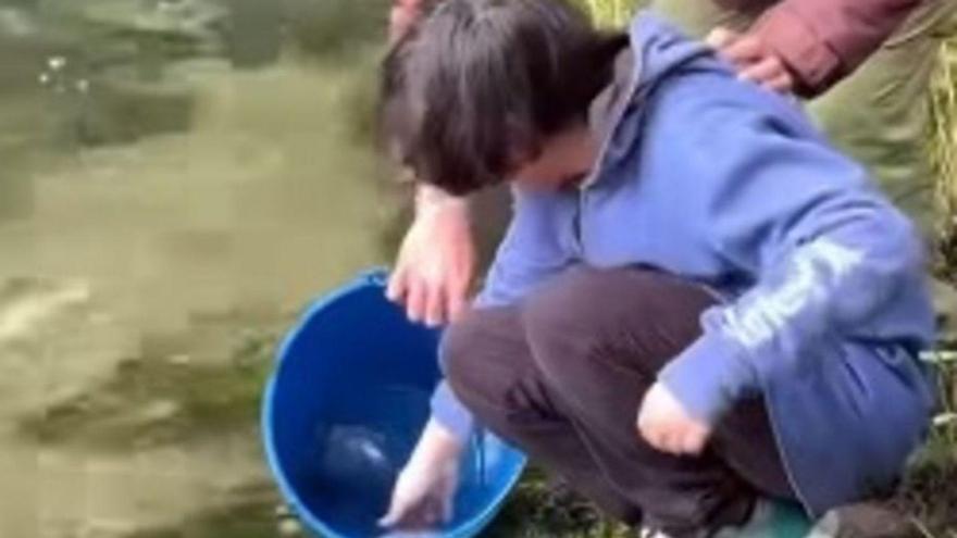 Alumnos de Ponte Caldelas sueltan unos mil alevines en el río Verdugo en vísperas de la Festa da Troita